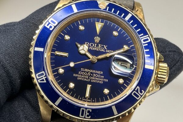 フジツボ入荷いたしました！